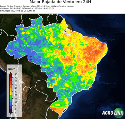 24 horas