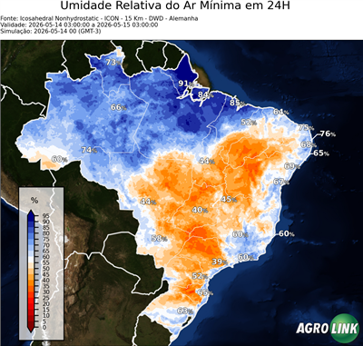 24 horas