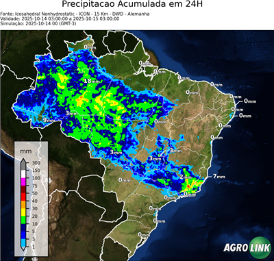 24 horas