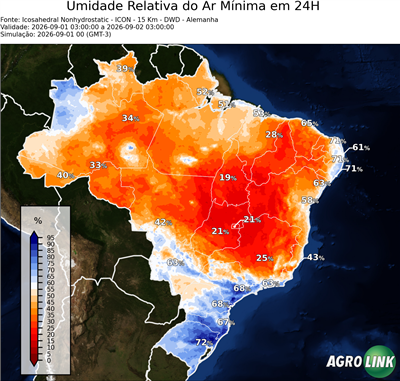 24 horas