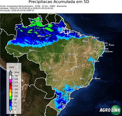 5 dias
