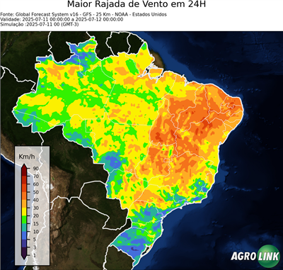 24 horas