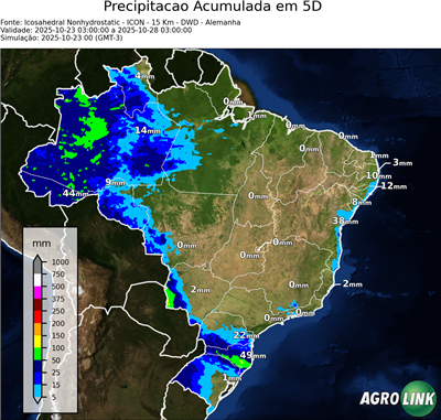 5 dias
