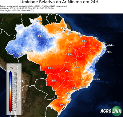 24 horas