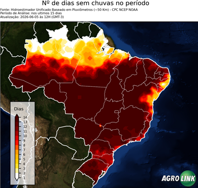 15 dias