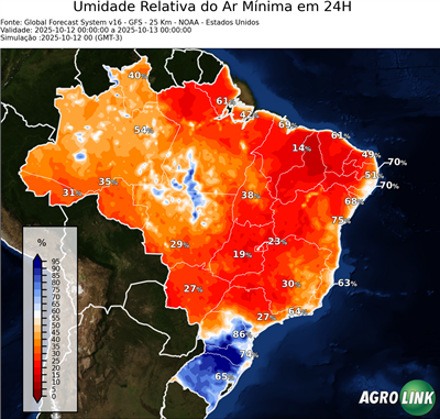 24 horas