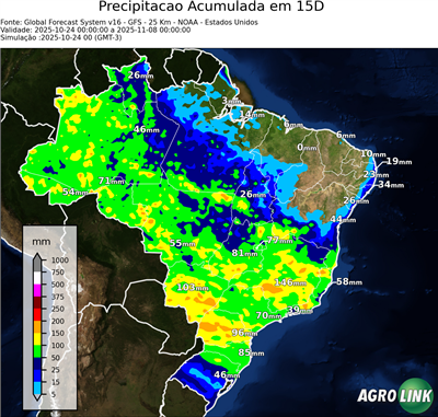 15 dias