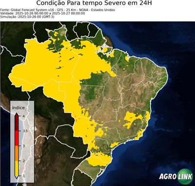 24 horas