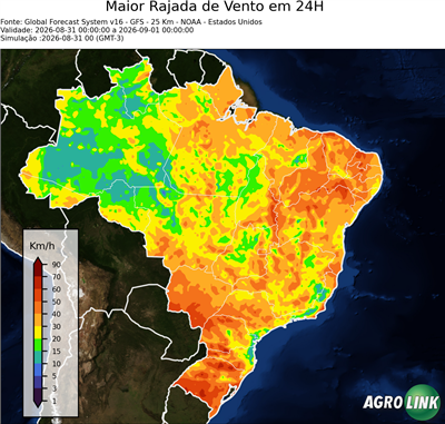 24 horas