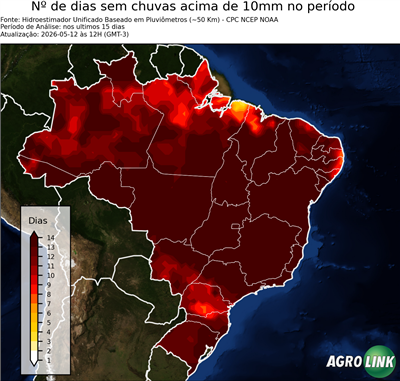 15 dias