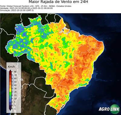 24 horas