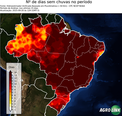 15 dias