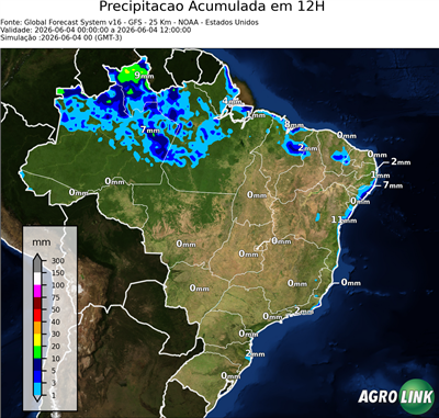 12 horas