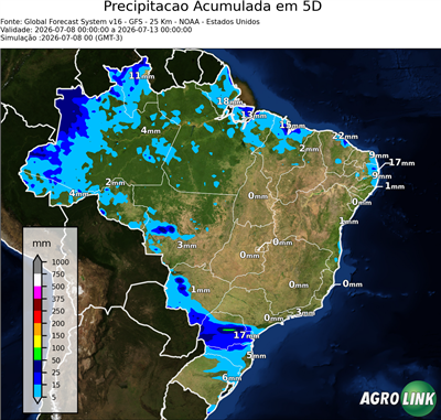 5 dias