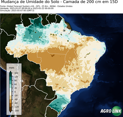 15 dias
