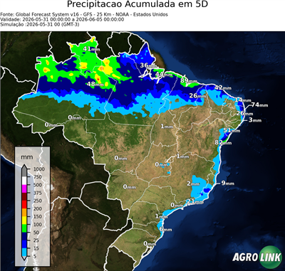 5 dias