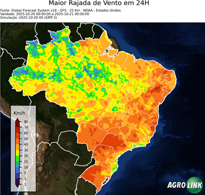 24 horas