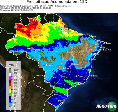 15 dias