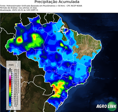 15 dias
