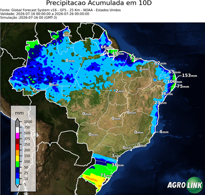 10 dias