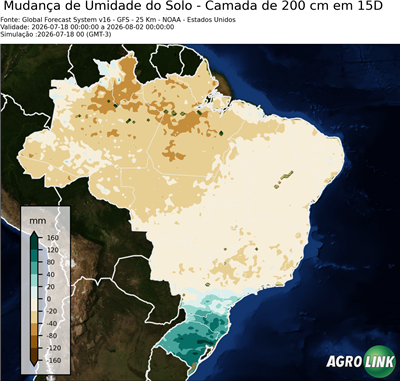 15 dias