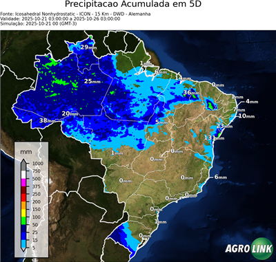 5 dias