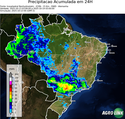 24 horas