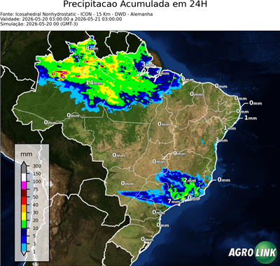 24 horas