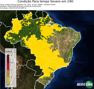 24 horas
