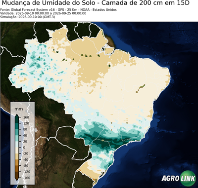 15 dias