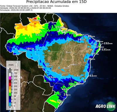 15 dias