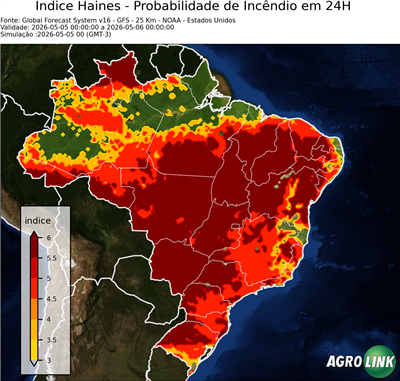 24 horas