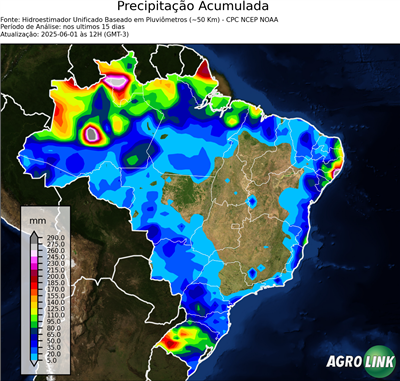 15 dias