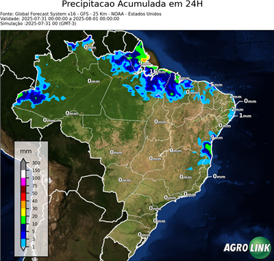 24 horas