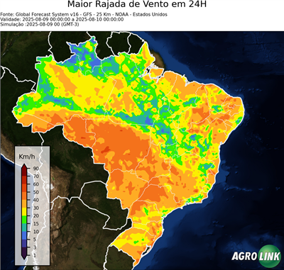 24 horas