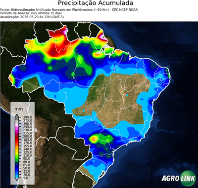 15 dias