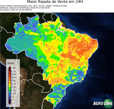 24 horas