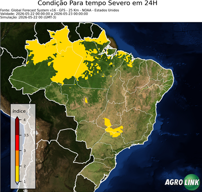 24 horas