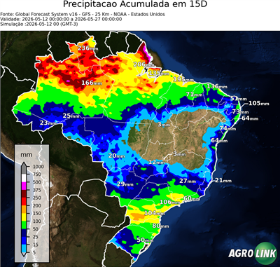 15 dias