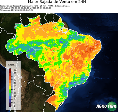 24 horas