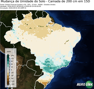 15 dias