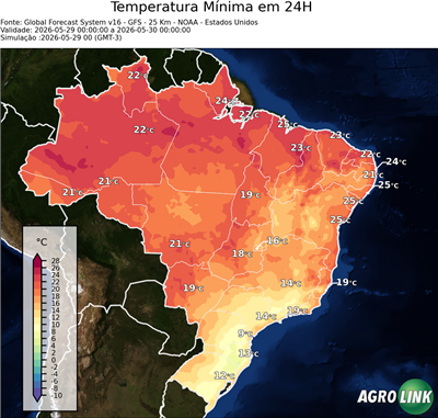 24 horas