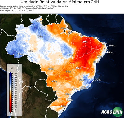24 horas