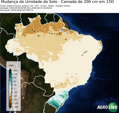 15 dias