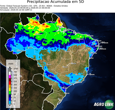5 dias