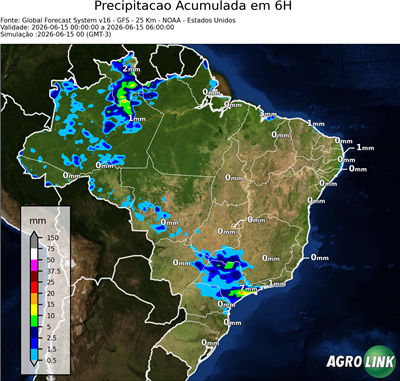 6 horas