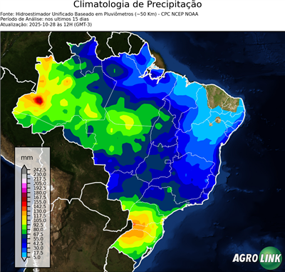 15 dias