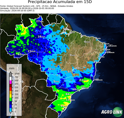15 dias