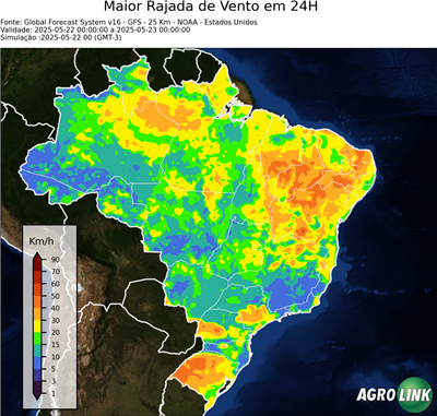 24 horas
