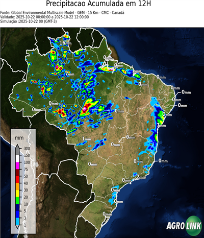 12 horas